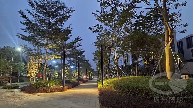 產業(yè)園夜景亮化工程實景圖